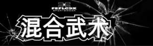 FEFLOGX Sportswear YouTube Kanal, Kampfsport, chinesische Schrift, Grafik.